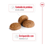SHN MEDIUM ADULT 7+ - CROQUETA.png